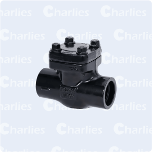 FORGE STEEL LIFT CHECK VALVE API602 CLASS 800