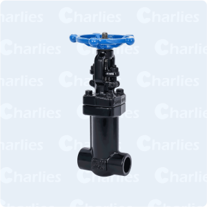 FORGE STEEL GLOBE VALVE BELLOW SEAL