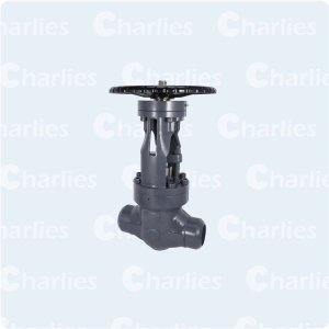 PRESSURE SEAL BONNET GATE VALVE CLASS 2500