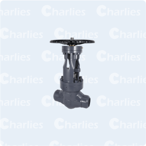 PRESSURE SEAL BONNET GATE VALVE CLASS 900