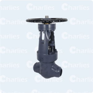 PRESSURE SEAL BONNET GLOBE VALVE CLASS 2500