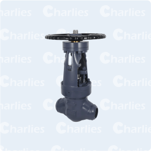 PRESSURE SEAL BONNET GLOBE VALVE CLASS 900