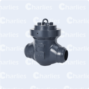 PRESSURE SEAL BONNET CHECK VALVE CLASS 1500