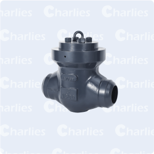 PRESSURE SEAL BONNET CHECK VALVE CLASS 2500