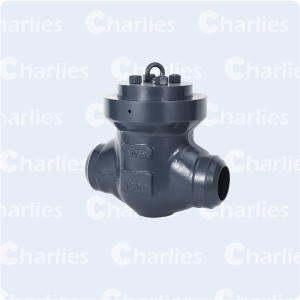 PRESSURE SEAL BONNET CHECK VALVE CLASS 900