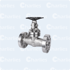 CAST STEEL GATE VALVE API600 CLASS 2500