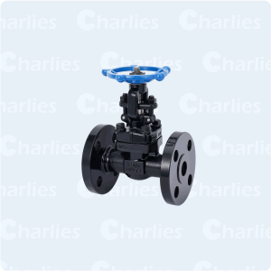 CAST STEEL GATE VALVE API600 CLASS 300