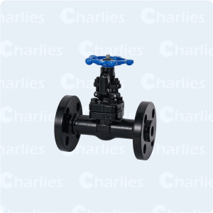 CAST STEEL GATE VALVE API600 CLASS 600