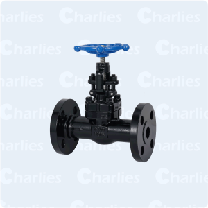 CAST STEEL GLOBE VALVE API600 CLASS 300