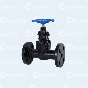 CAST STEEL GLOBE VALVE API600 CLASS 900